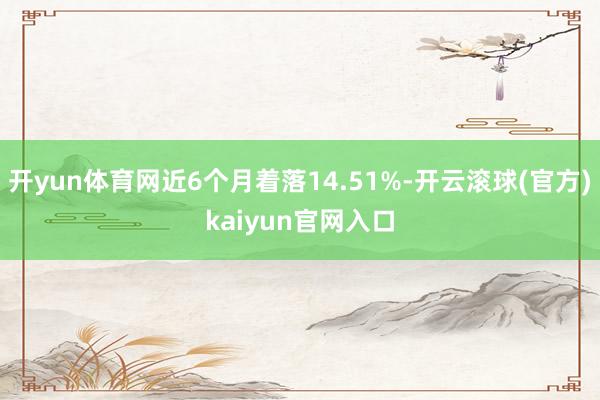 开yun体育网近6个月着落14.51%-开云滚球(官方)kaiyun官网入口