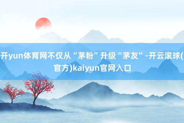 开yun体育网不仅从“茅粉”升级“茅友”-开云滚球(官方)kaiyun官网入口