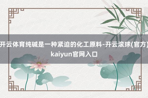 开云体育纯碱是一种紧迫的化工原料-开云滚球(官方)kaiyun官网入口