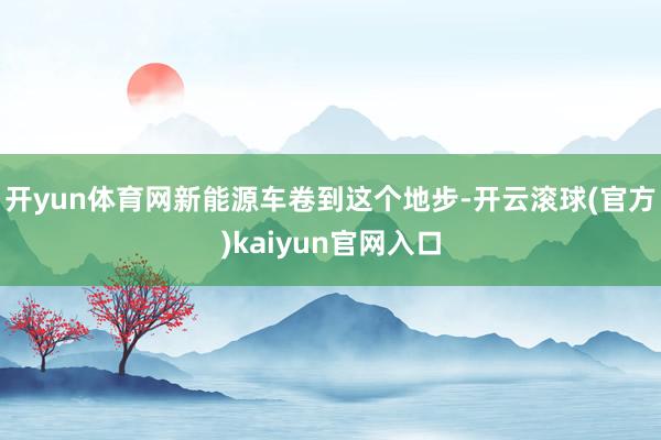 开yun体育网新能源车卷到这个地步-开云滚球(官方)kaiyun官网入口